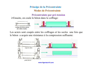 Principe de la Pr&eacute;contrainte: Techniques et Mat&eacute;riaux
