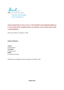Vascularisation du cou et de la t&ecirc;te: Outil didactique pour l'enseignement