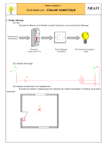 Guide d'apprentissage du c&acirc;blage domestique