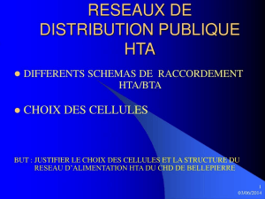 Public Distribution Networks HTA: Connection Schemes & Cell Choice