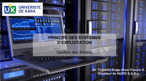 Principes des syst&egrave;mes d'exploitation : Gestion des fichiers