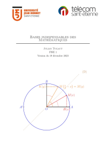 Bases Indispensables des Math&eacute;matiques - Cours Universitaire