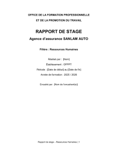 Rapport de Stage: Ressources Humaines - Sanlam Auto