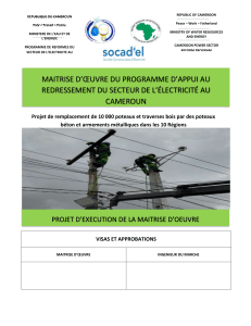 Rapport mensuel PARSEC - R&eacute;forme secteur &eacute;lectrique Cameroun