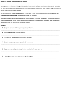 Exercice : Mangrove et exploitation humaine