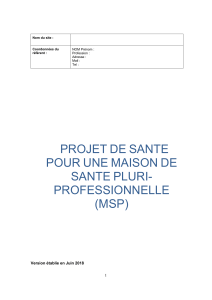 Mod&egrave;le de Projet de Sant&eacute; pour Maison de Sant&eacute; Pluri-Professionnelle (MSP)