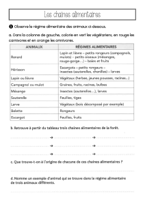 Les cha&icirc;nes alimentaires : exercices et activit&eacute;s pour les &eacute;l&egrave;ves