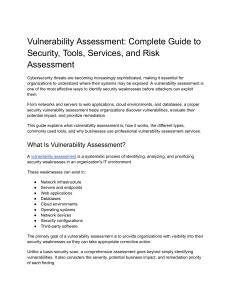 Vulnerability Assessment Guide: Security, Tools, Risk