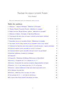 Topologie des espaces vectoriels norm&eacute;s : d&eacute;finitions, th&eacute;or&egrave;mes, exercices