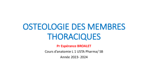 Ost&eacute;ologie des Membres Thoraciques - Cours Anatomie L1
