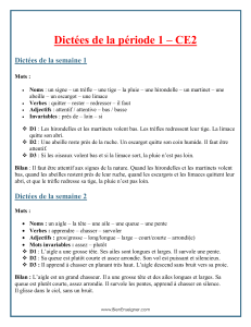 Dict&eacute;es CE2 P&eacute;riode 1 - Exercices de fran&ccedil;ais pour &eacute;l&egrave;ves