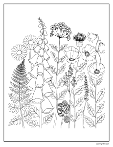 Plant Coloring Page for Kids