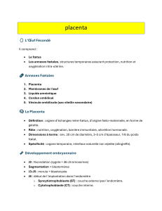 Placenta : D&eacute;veloppement embryonnaire et annexes f&oelig;tales