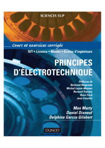 Principes d'&Eacute;lectrotechnique - Uvod u elektrotehniku