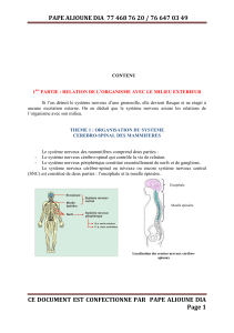 Organisation du syst&egrave;me nerveux c&eacute;r&eacute;bro-spinal des mammif&egrave;res