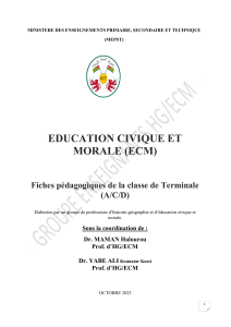 Fiches P&eacute;dagogiques Terminale ECM Togo: Conflits, Paix, Gouvernance