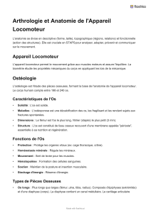 Anatomie et Arthrologie de l'Appareil Locomoteur