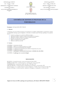Contr&ocirc;le de Gestion et Pilotage de la Performance - Cours Universitaire