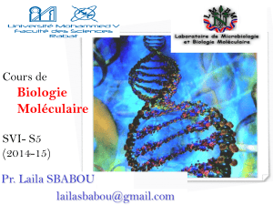 Cours de Biologie Mol&eacute;culaire - Transcription