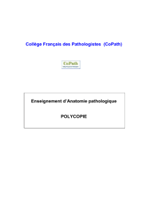 Enseignement d'anatomie pathologique - CoPath