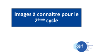 Images &agrave; conna&icirc;tre pour le 2&egrave;me cycle - Radiologie