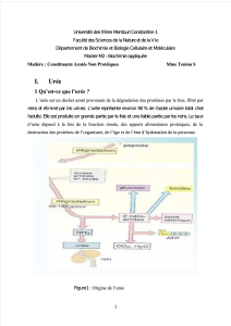 Constituants Azot&eacute;s Non Prot&eacute;iques : Ur&eacute;e, Cr&eacute;atinine, Ammoniac, Bilirubine, Acide Urique
