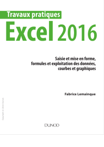 Practical Excel 2016 Workbook: Data Entry, Formulas, Graphs