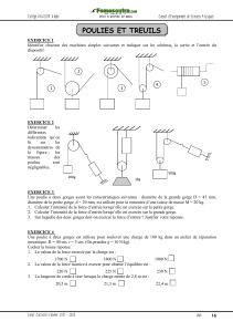 Poulies et Treuils - Exercices de Physique