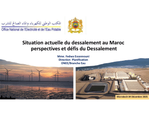 Dessalement au Maroc: Situation, Perspectives, D&eacute;fis