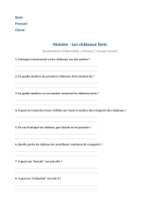 Questionnaire sur les ch&acirc;teaux forts - Histoire m&eacute;di&eacute;vale