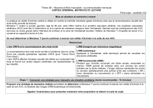 Th&egrave;me 3B : Neurone, fibre musculaire et communication nerveuse