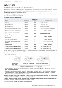 Synth&egrave;se NF C 15-100 Installations &Eacute;lectriques 2024