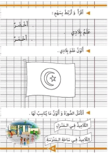 Arabic Language Workbook: Words, Sentences, Verbs for Kids