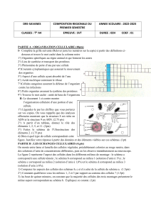 Composition SVT Tle A4 : Organisation, &Eacute;changes, Divisions Cellulaires
