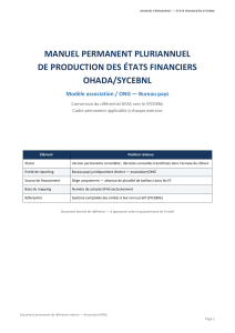 Manuel Permanent SYCEBNL: Production des &Eacute;tats Financiers OHADA