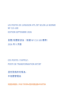 高壓/低壓配送站 (依據 NF C13-100 標準)