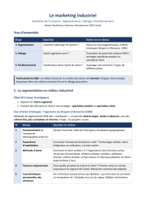 Le marketing industriel : Segmentation, Ciblage, Positionnement