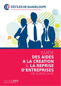 Guide des aides &agrave; la cr&eacute;ation d'entreprise en Guadeloupe