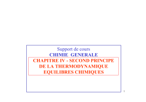 Chapitre IV : Second Principe de la Thermodynamique et &Eacute;quilibres Chimiques