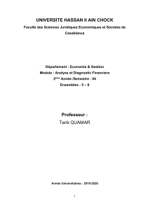 Analyse et Diagnostic Financiers: Cours Universit&eacute; Hassan II Ain Chock 2019-2020