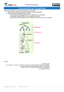 D&eacute;roulement de l'ovogen&egrave;se - Processus biologique