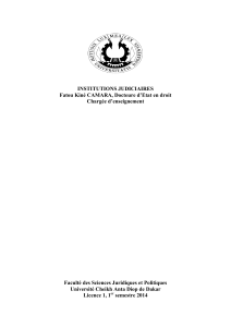 Institutions judiciaires : manuel pour Licence 1
