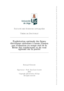 Exploitation optimale des  lignes a&eacute;riennes