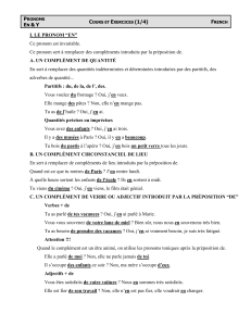 pronoms y et en le&ccedil;on et exercices