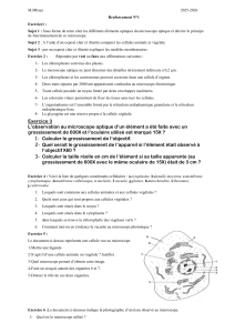 Renforcement N&deg;1 : Exercices de biologie cellulaire et microscopie