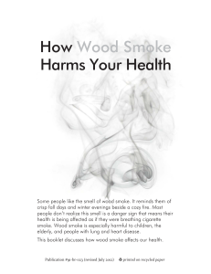 How Wood Smoke Harms Your Health - Public Health Guide
