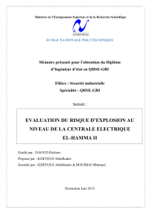 &Eacute;valuation du risque d'explosion &agrave; la centrale El-Hamma II