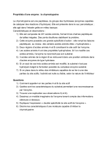 Propri&eacute;t&eacute;s de la chymotrypsine - Fiche de travail