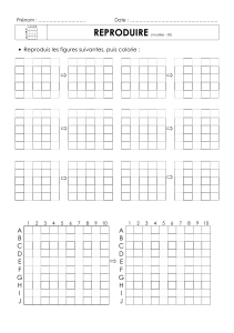 Grid Figure Reproduction Worksheet (Mod&egrave;le 00)
