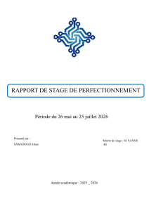 Rapport de stage perfectionnement &eacute;lectronique CAPELEC Burkina
